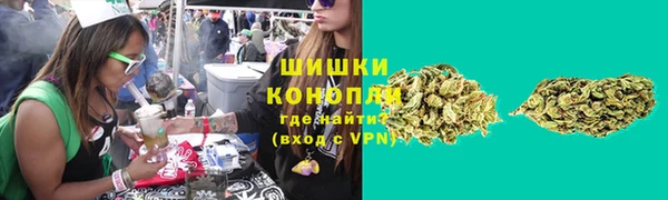стаф Майский