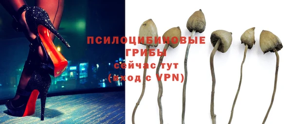 дмт Магас