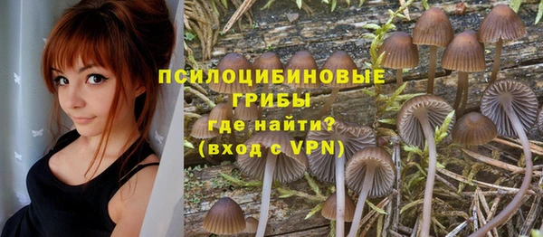 стаф Майский
