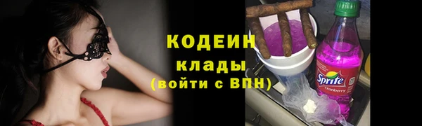 стаф Майский