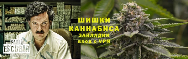 дмт Магас