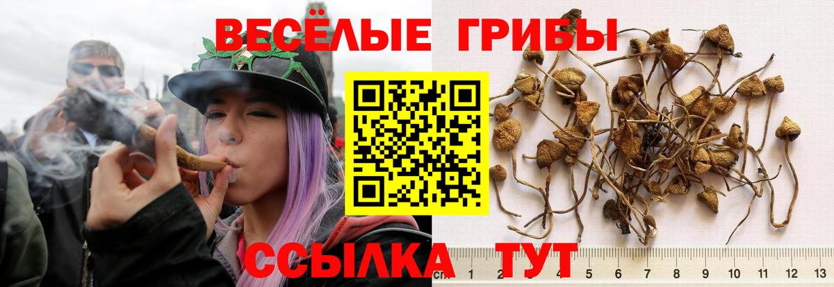 Галлюциногенные грибы Psilocybe  Вход с VPN  Липецк  Псилоцибиновые грибы MAGIC MUSHROOMS 